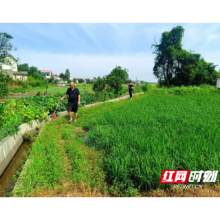 从“同体监督”到“技术监理” 湘阴引入第三方专业排查为高标准农田“精准体检”