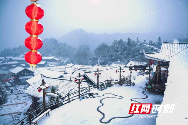 图片3_副本.jpg