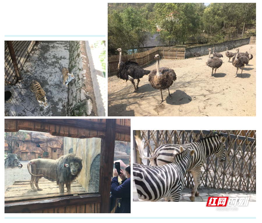 微信截图_20211005183835_副本.png