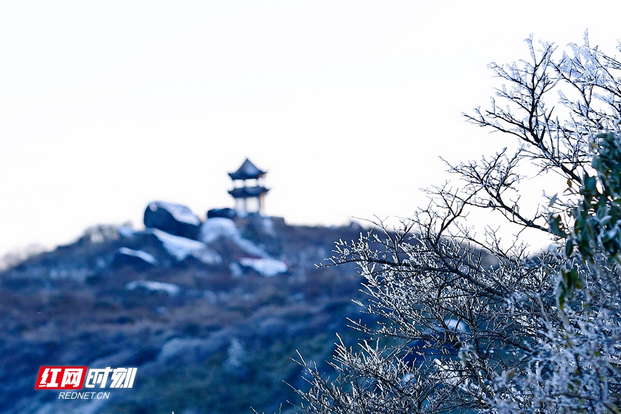 微信图片_20211108154904_副本.jpg