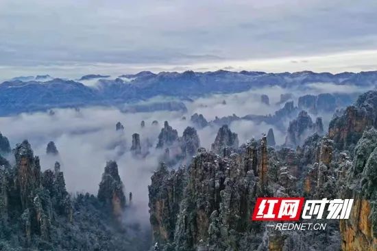 微信图片_20211207115646.jpg