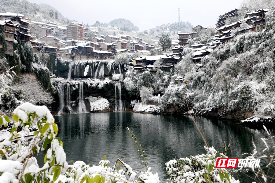 微信图片_20211207105608_副本.jpg