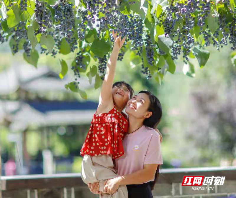 微信图片_20210624135522_副本.jpg