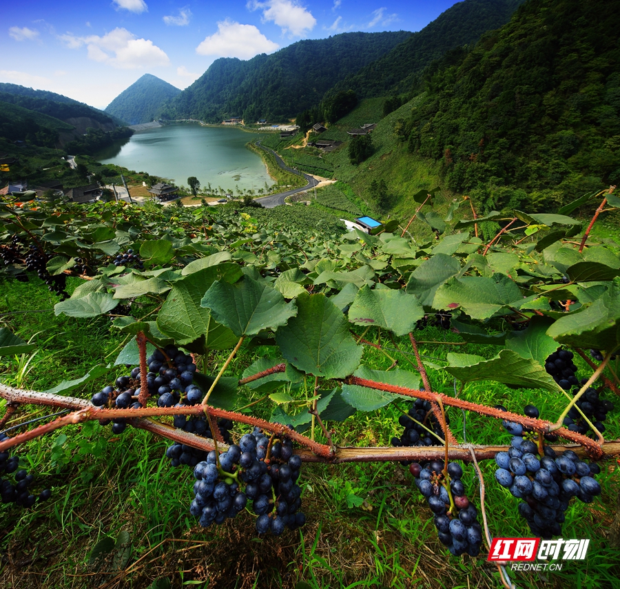 40-3葡海风光_副本.jpg