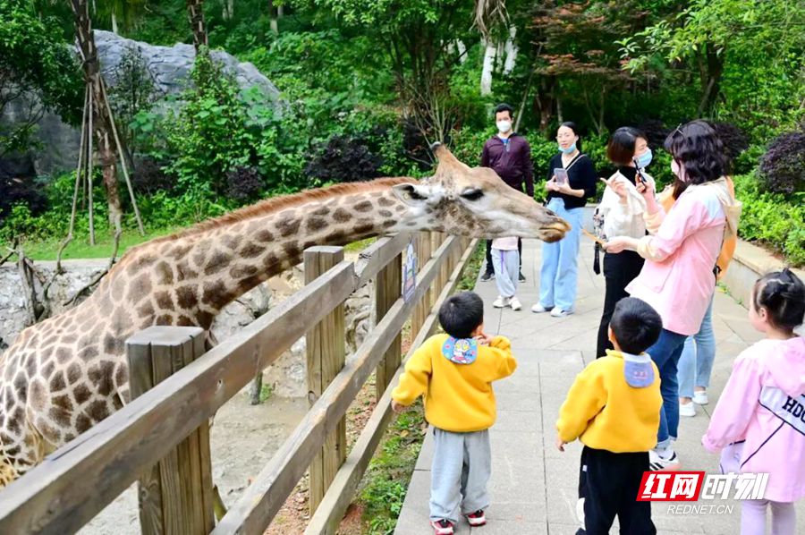 微信图片_20220503135540_副本.jpg 微信图片_20220503135540_副本.jpg