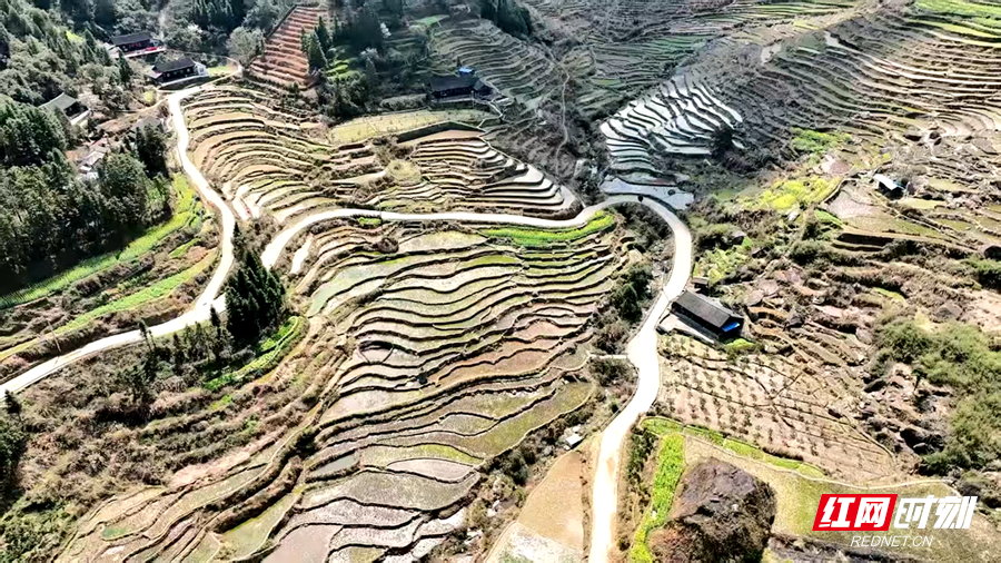 微信图片_20250603091351_副本.jpg