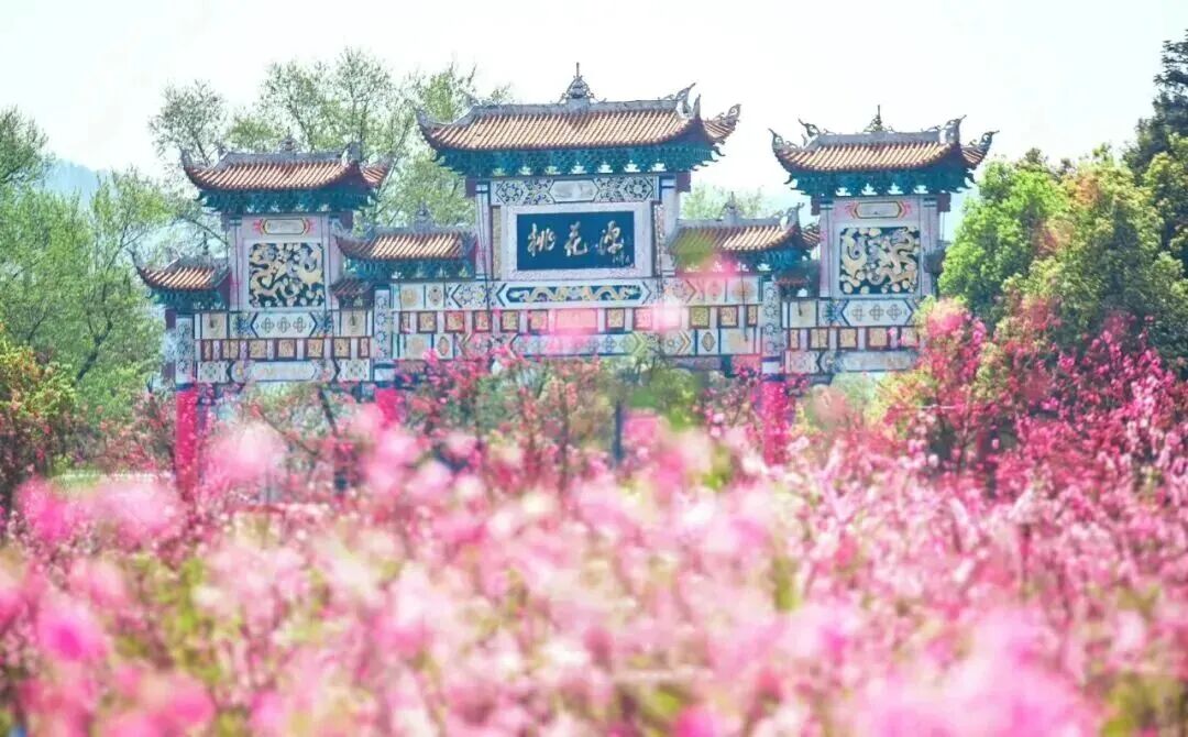 微信图片_2026-03-27_092004_111.jpg 微信图片_2026-03-27_092004_111.jpg