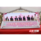 这里的樱花开了! 晚安家居文化园邀市民赏花打卡