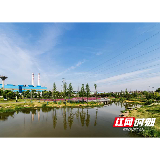 华菱湘钢加快“国家AAA景区”打造 再添一片景观林