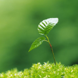 湖南联交所创新资产处置方式 助力发展绿色低碳经济