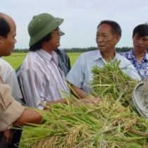 弘扬隆平精神，为民族种业崛起接续奋斗——深切缅怀敬爱的袁隆平老师