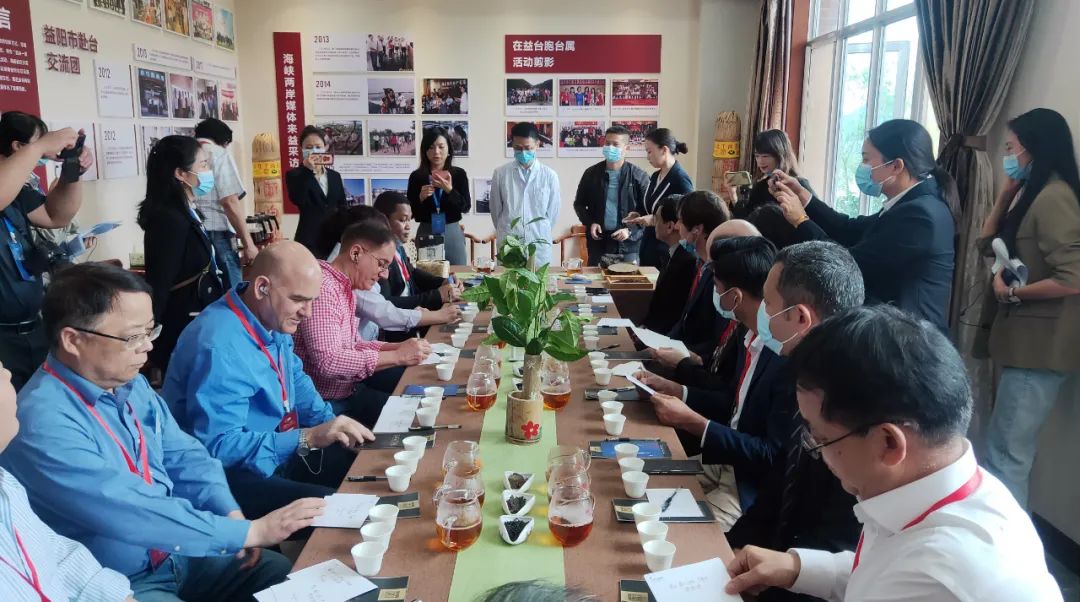 外國專家安化黑茶文化體驗活動在白沙溪舉行10.jpg