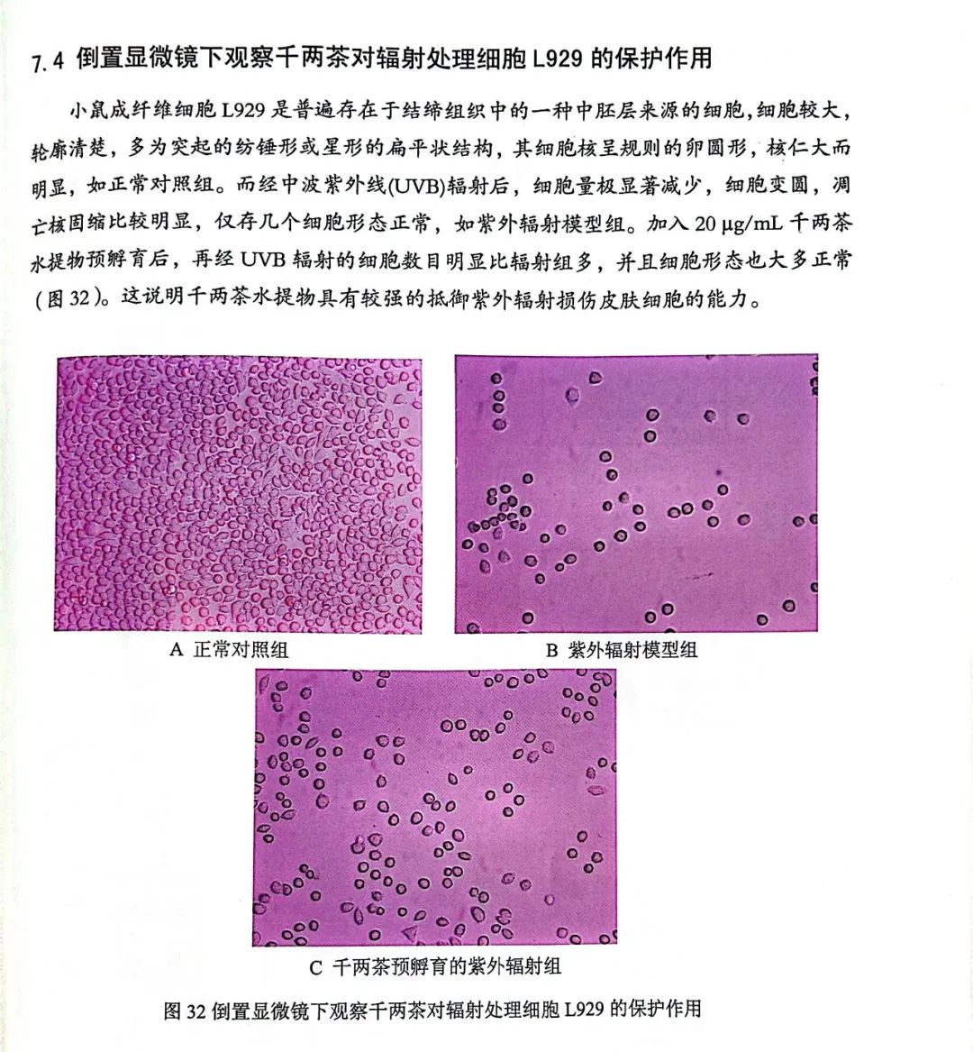 热点关注丨应对日本核污水排海：屯盐不如屯黑茶4.jpg