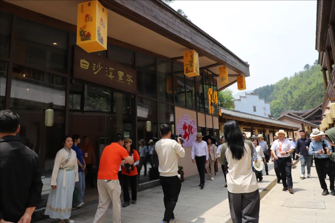 裁剪旋转 (3).jpeg