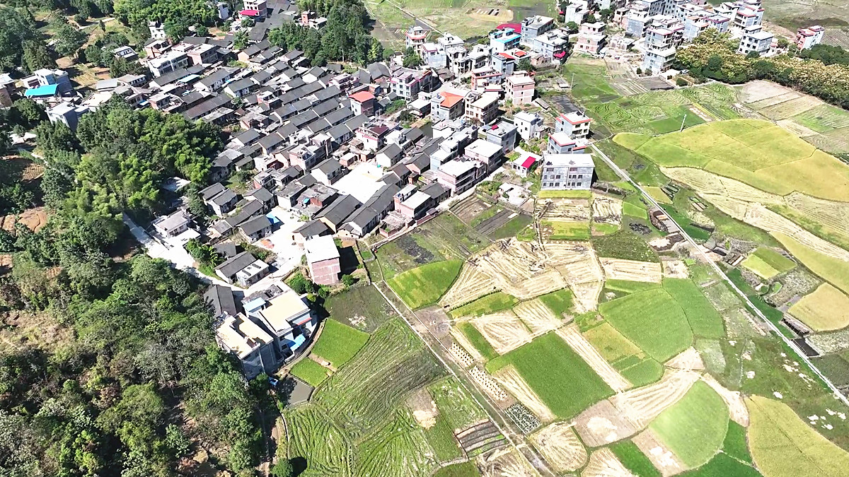 乡村振兴 | 宜章县天塘镇笠头村:引"凤"筑"金巢" 村强民更富