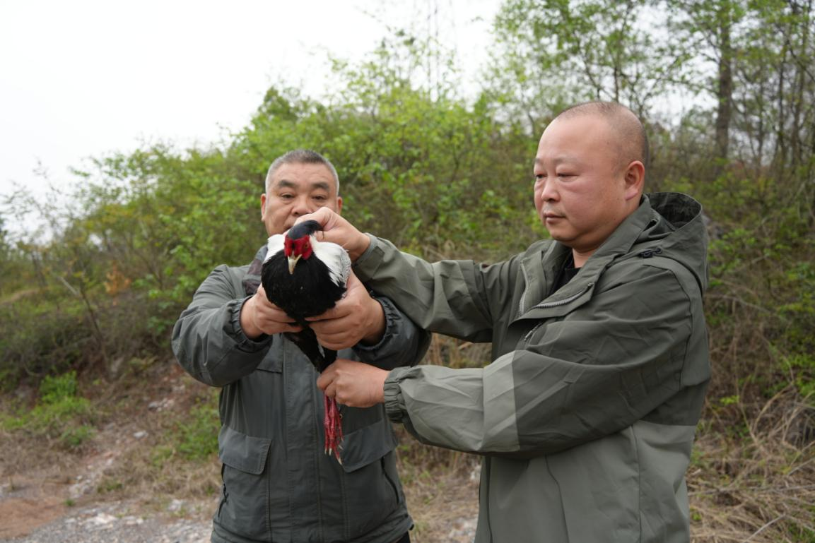 图片5.png 图片5.png