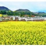 全面巩固提升易地搬迁脱贫成果