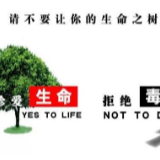 武冈市委禁毒工作调度会强调 坚决打赢打好禁毒攻坚战