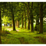 武冈:切实做好自然灾害防范应对