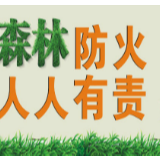 武冈：“十个一”抓好清明期间森林防灭火工作