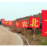 侯文调研现代农业产业项目工作