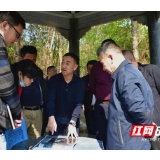 创建省级（国家）森林城市，新邵紧锣密鼓进行
