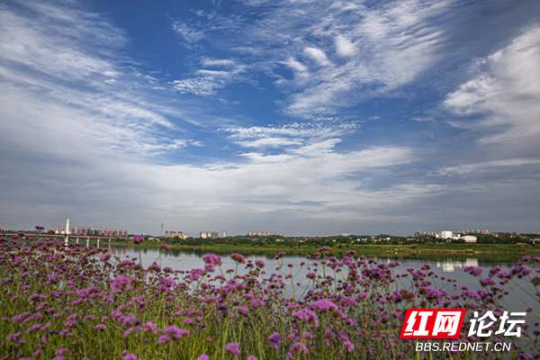 什么样的天空飘着什么样的风 58c54676d05f4385ab6dcedcc0837741.jpg