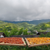 【寻味湖南】探索炎陵美食之旅，从一块黄桃干开始