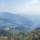 从“边角地”到“聚宝盆”:一个深山村庄的生态逆袭之路