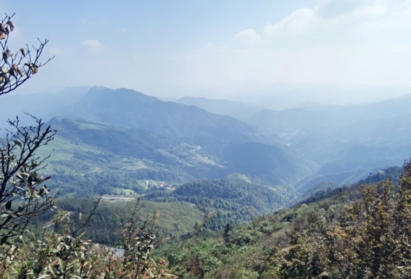 从“边角地”到“聚宝盆”：一个深山村庄的生态逆袭之路