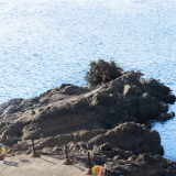 百米江滩何以聚人气?探秘株洲渌口网红地标“大石围”