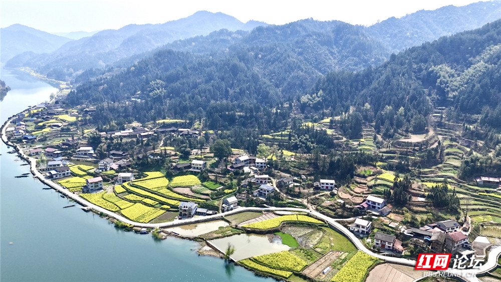 乡村振兴进行时：新晃江口村的美丽蜕变.jpg