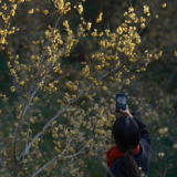 红网网友年度环保分享，见证人与自然的和谐共生