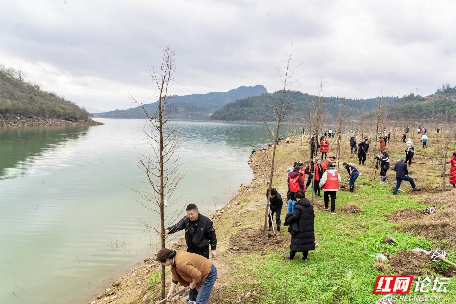 十对夫妻同植 “幸福树”：当爱情遇上生态，甜出春日新高度.jpg