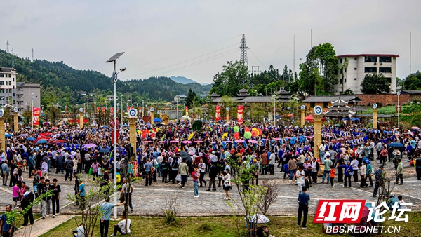 2025. 4.19通道大戊梁歌会 王启友摄 15367572777(8).jpg