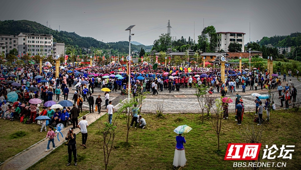 2025. 4.19通道大戊梁歌会 王启友摄 15367572777(7).jpg