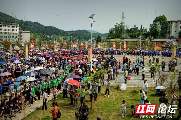 2025. 4.19通道大戊梁歌会 王启友摄 15367572777(10).jpg