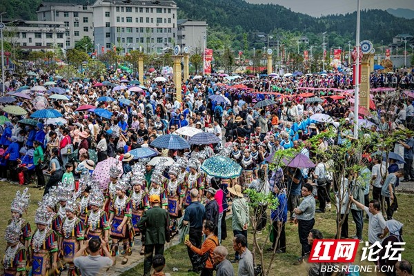 2025. 4.19通道大戊梁歌会 王启友摄 15367572777(9).jpg