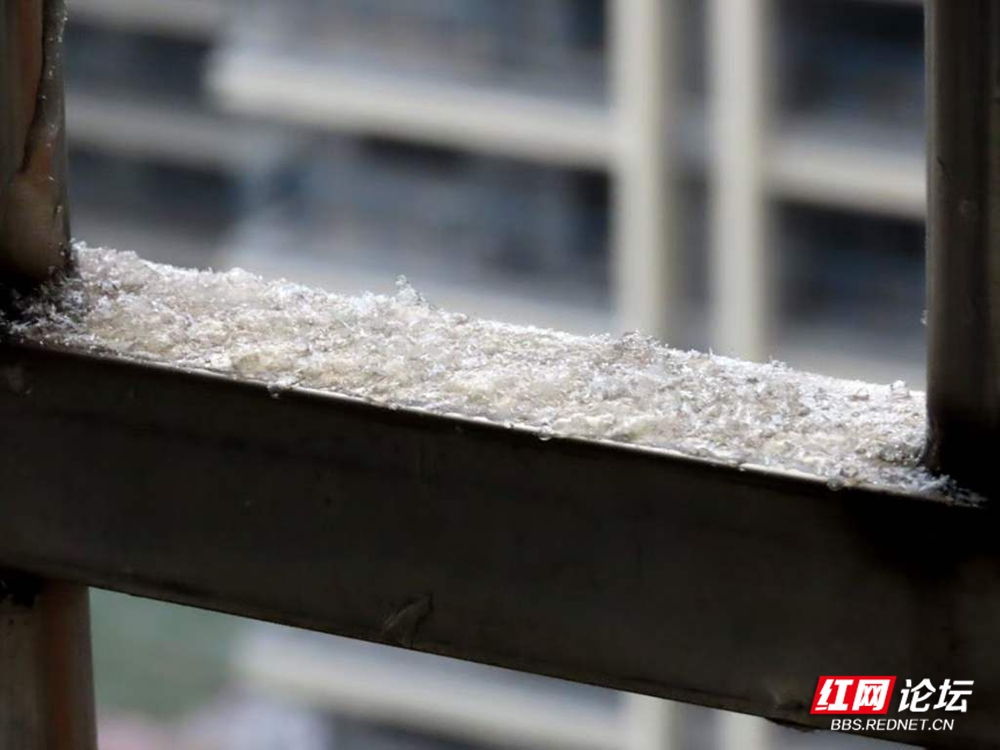 长沙 王德璠.jpg