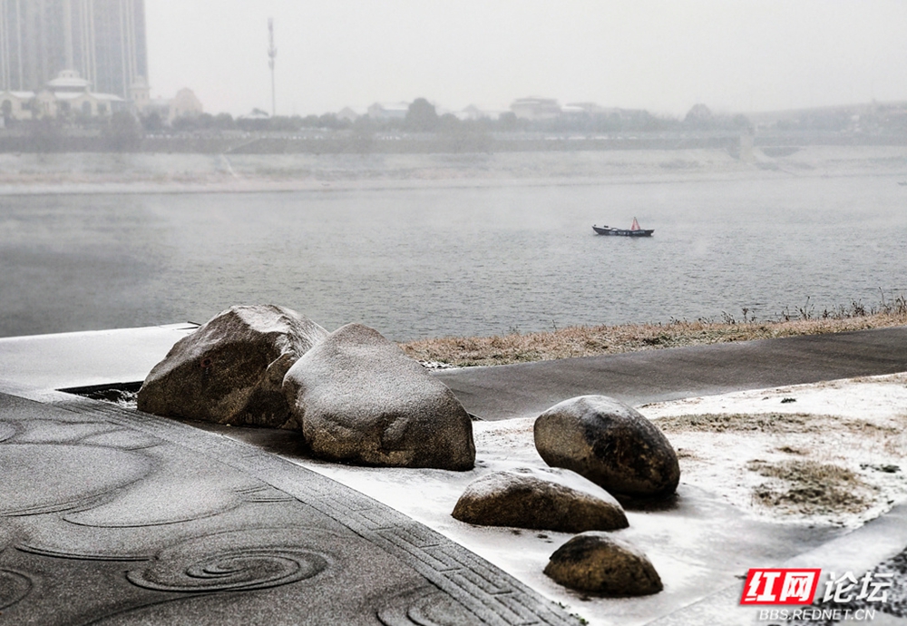 益阳资江河畔 天外来客2.jpg