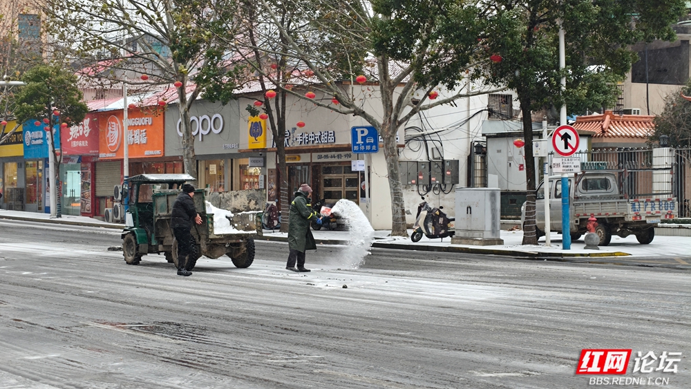 安乡 蔡明星.jpg