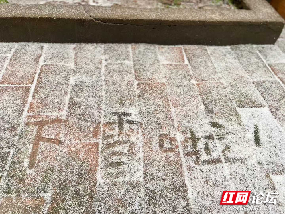 长沙 何果果.jpg