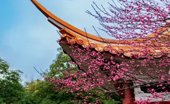 组图丨黛瓦红梅，是藏在石峰公园里的中式浪漫