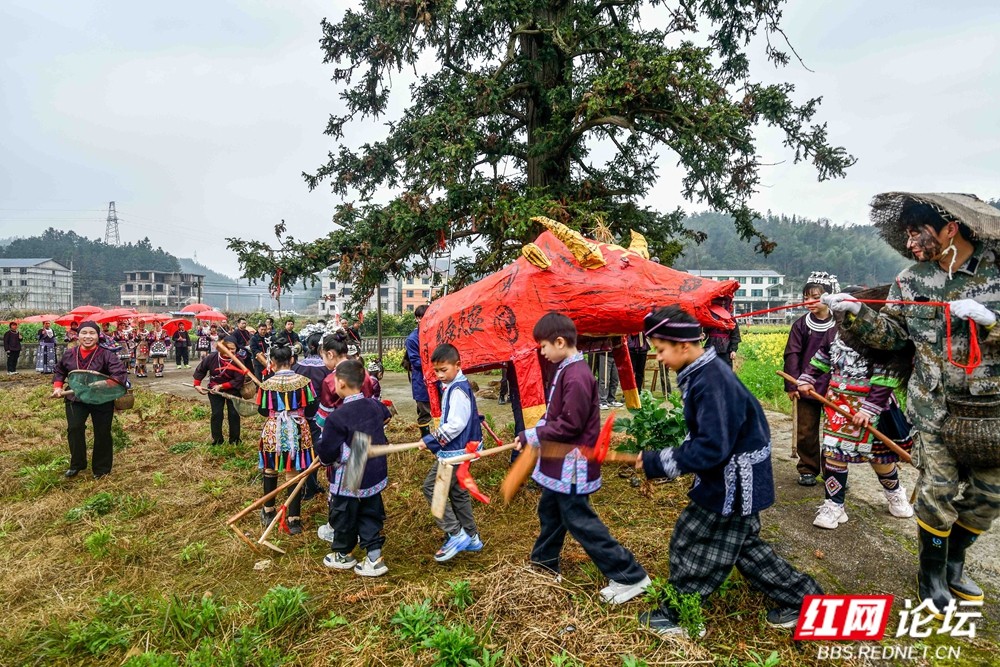 《盛装巡游》2026.2.22正月初六 双江镇向晖村春节吃会活动图片 王启友摄 15367572777 (7)_副本.jpg