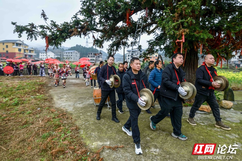 《盛装巡游》2026.2.22正月初六 双江镇向晖村春节吃会活动图片 王启友摄 15367572777 (8)_副本.jpg