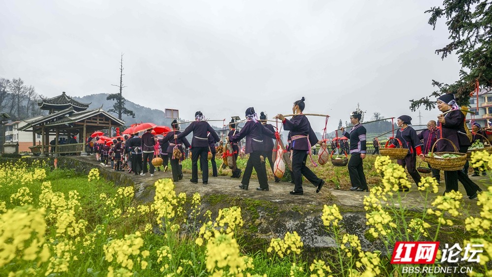 《盛装巡游》2026.2.22正月初六 双江镇向晖村春节吃会活动图片 王启友摄 15367572777 (4)_副本.jpg