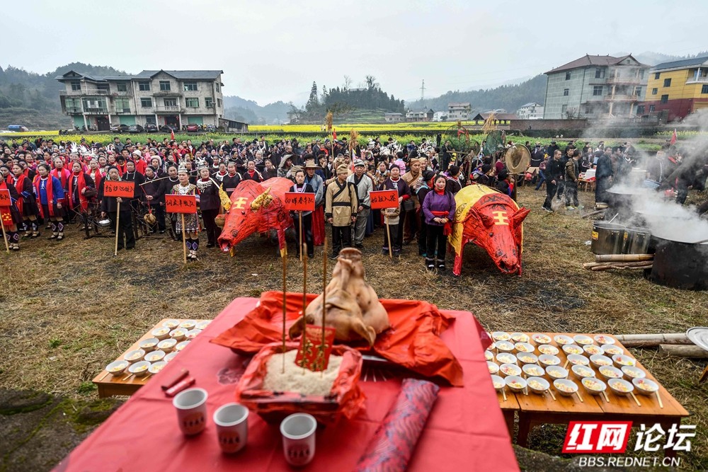 《祭祀仪式》2026.2.22正月初六 双江镇向晖村春节吃会活动图片 王启友摄 15367572777 (15)_副本.jpg