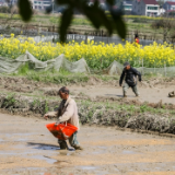 【赴春之约】镜头下的泥土情缘：记录益阳农户最真实的春日图景