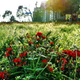 【赴春之约】浮光掠影，把春天留在株洲的江风里