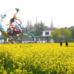 【赴春之约】逃离城市：去罗文花海，过一天向往的生活